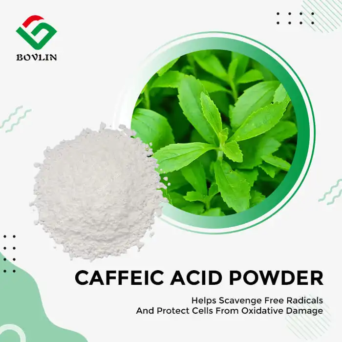 Caffeic Acid Powder